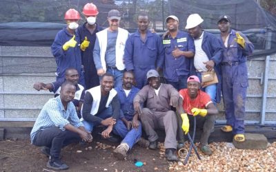 CopyCat Farming Model